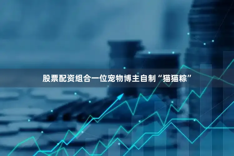 股票配资组合一位宠物博主自制“猫猫粽”