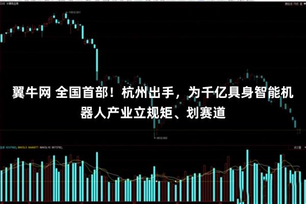 翼牛网 全国首部！杭州出手，为千亿具身智能机器人产业立规矩、划赛道
